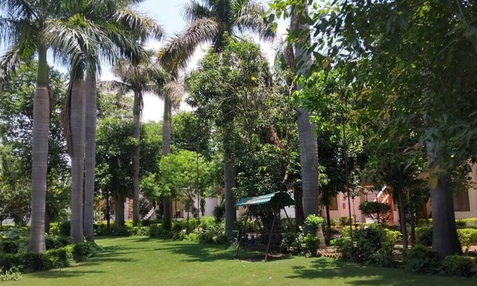 Khajuraho Hotel | Hotel Shree Krishna Jungle Resort