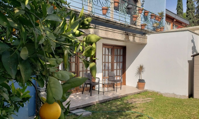 Del Carmen Apartment | Hotel Singular Coyoacán