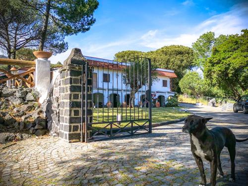 Boscotrecase Hotel | Hotel Sirio