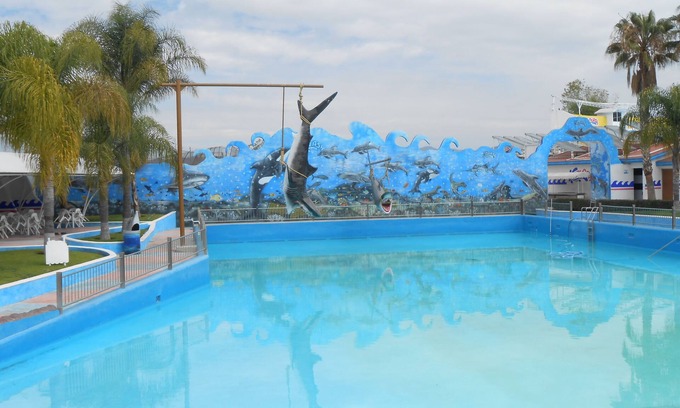 Silao Hotel | Hotel Splash Inn