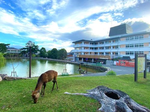 Nara Hotel | Hotel Tenpyo Naramachi