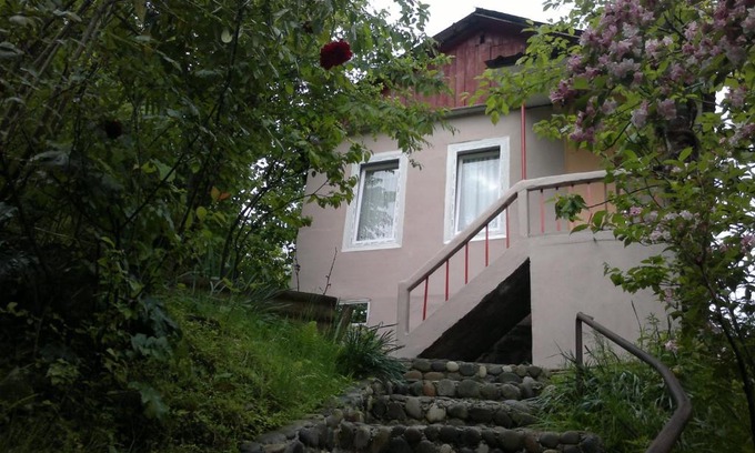 Mtsvane Kontskhi House | House Ilia