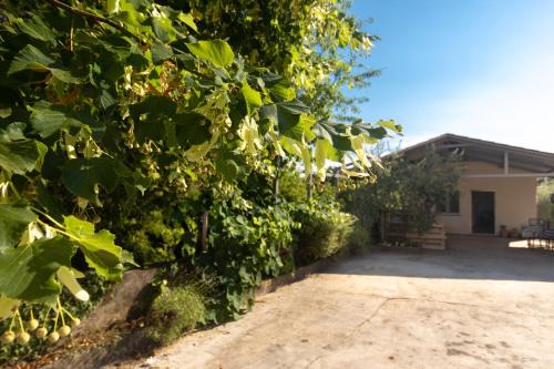 Risika House | House Lora