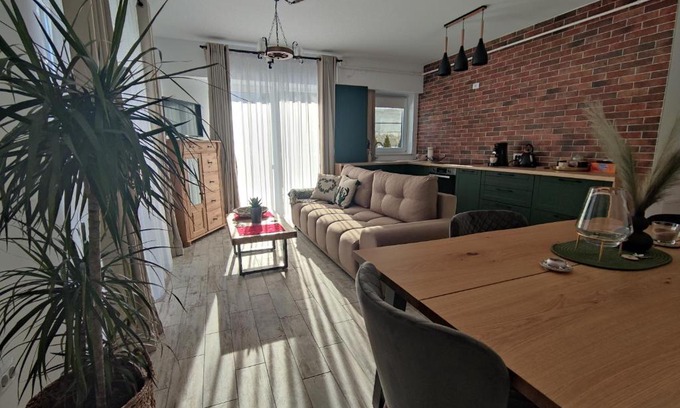 Campulung Moldovenesc Apartment | House of OM