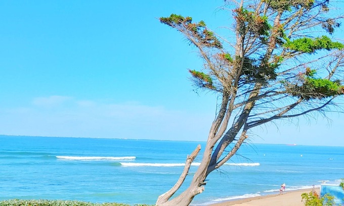 Cheray House | House on the island of Oléron Cheray / St Georges d 'Oléron 3km near the beaches