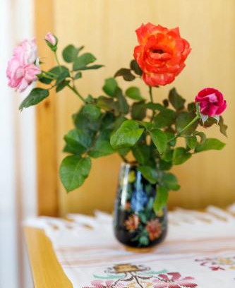 South Rhodes House | House Salvia