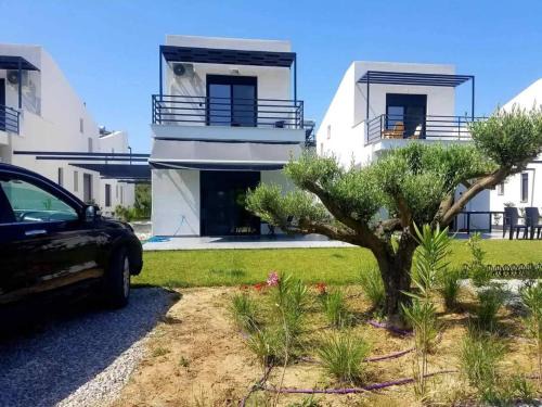 Pangaio House | House Viki