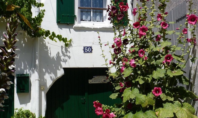La Couarde-sur-Mer House | House/Villa - Ile de Ré - La Couarde sur mer