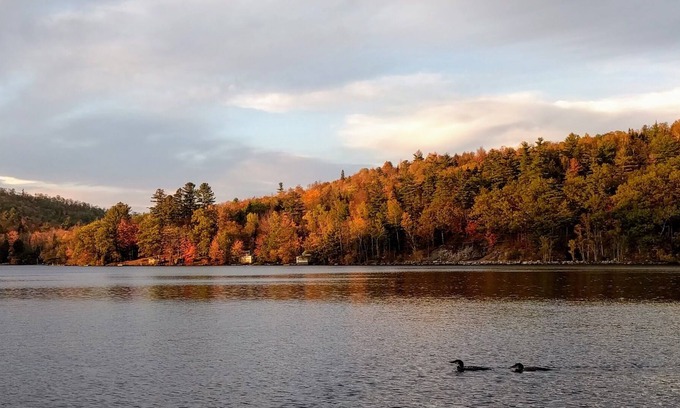 Hanover Cabin | Howard Pond - Family-Friendly And Pet-Friendly Quiet Home