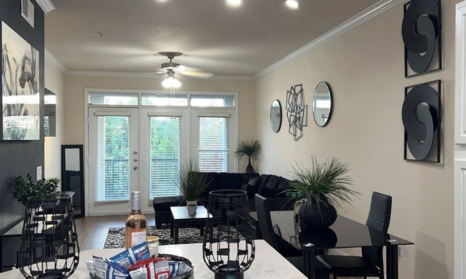 Houston Apartment | HTX Luxury Downtown Apartments 10 mins away from galleria mall private parking