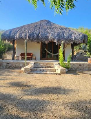 San Jose del Cabo House | Huerto Los Tamarindos