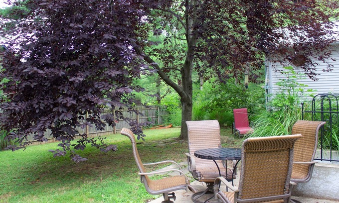 Bloomington House | Huge Manor w Indoor Hot Tub and Pool Table