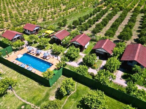 Dalyan Hotel | İztuzu Bungalow & Camping
