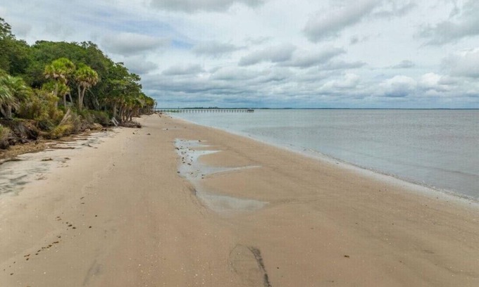 Dale House | Ideal beach getaway. House with large yard, oceanfront. (formerly named Lily)