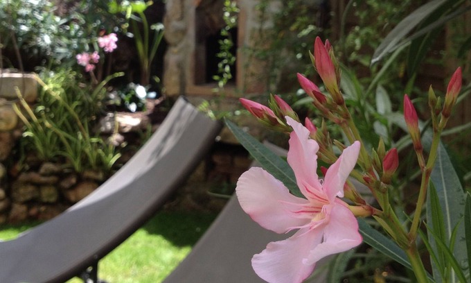Serra-di-Ferro Apartment | ❤ Ideal for a couple, quiet with private garden, Cupabia beach 5 minutes