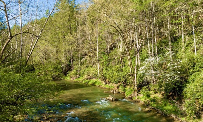 Mars Hill Apartment | Idyllic Asheville Countryside Home on 70 Acres