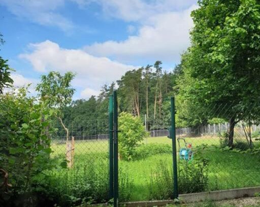 Buechenbach Apartment | Idyllische Ferienwohnung im Grünen