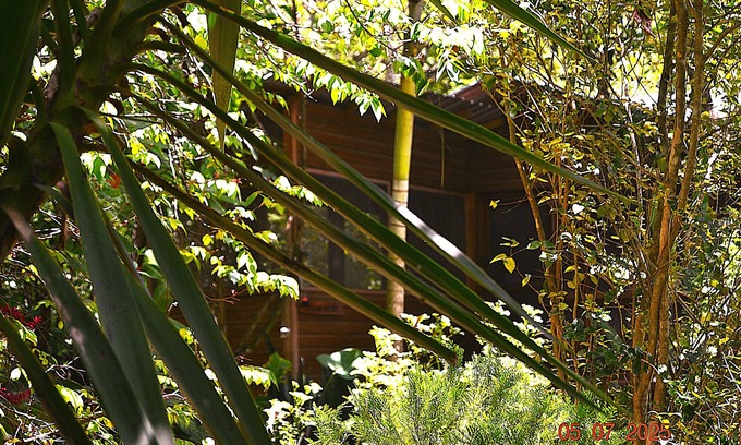 San Ignacio Cabin | Iguana Roost for explorers, families or travelers Welcome to The Tropical Acre