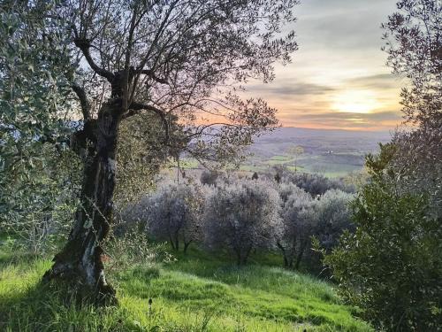 San Donnino House | Il Cestino di Ciliegie