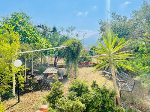 Salerno House | Il Giardino di Rosa & Elino