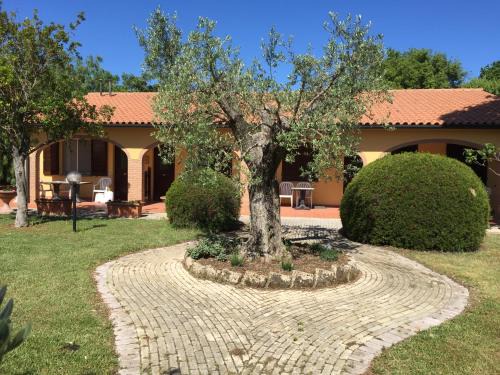 Campiglia Marittima House | Il Girasole