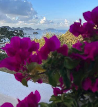 Ponza House | Il Mirto