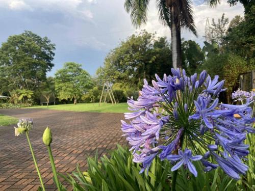White River House | ilanda Guest House