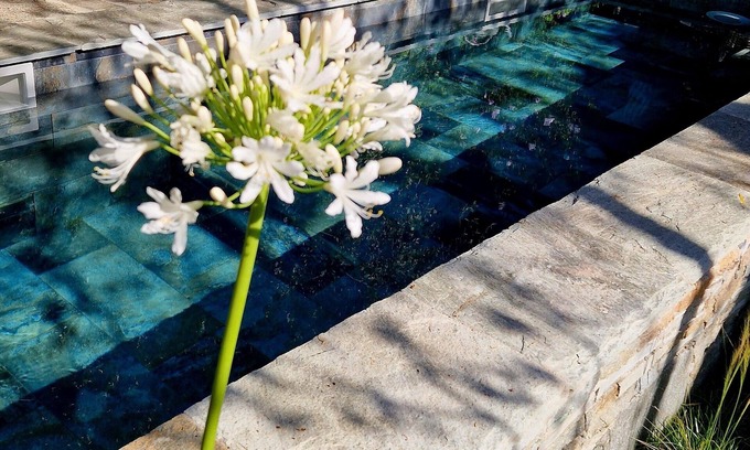 San-Gavino-di-Tenda Apartment | In the heart of Conca d'Oru, apartment with garden and pool.
