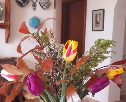 Arcola Bed & Breakfast | In Vino Veritas