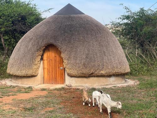 Mkhambathini House | Indlondlo Cultural Village