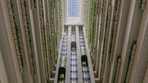 Brisbane Central Business District Hotel | InterContinental Brisbane by IHG