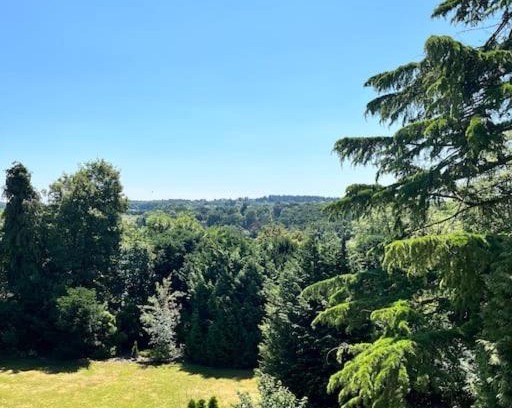 Seale Apartment | Ipsley Lodge Apartment Surrey Hills
