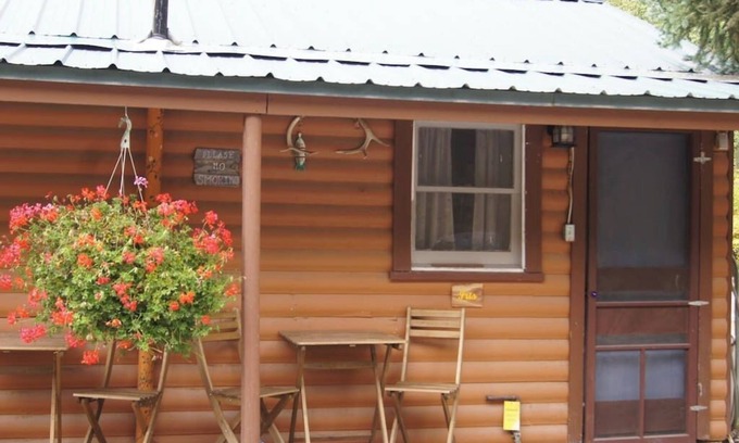 Lake City Cabin | Iris Cabin with Mountain Views