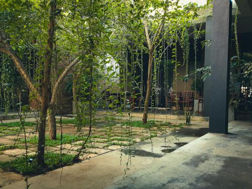 Anuradhapura Bed & Breakfast | Isi Arana Eco Villa