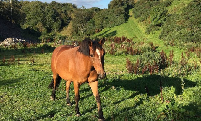Hawick RV Rental | Islay @ Westcote Glamping-Campsite