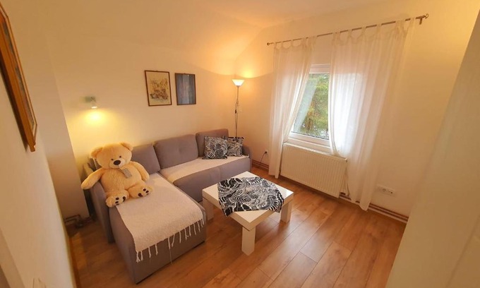 Zlatibor Apartment | Ispod duge