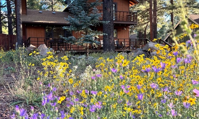 Kachina Village Cabin | It's a cool summer in Flagstaff! Enjoy the pines in a 3/2 with a king bed