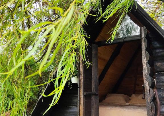 La Calera Other | Iwoka Ecoturismo