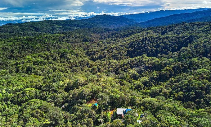 Copey Bed & Breakfast | Iyok Ami (Madre Tierra)