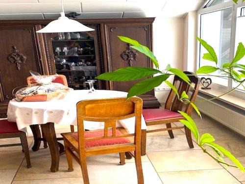 Obere Kyll Apartment | Jünkerath Romantic Garden Stay, cleaning included