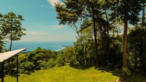 Ballena Other | Jaguar Camping Site