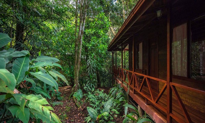Monteverde Hotel | Jaguarundi Lodge