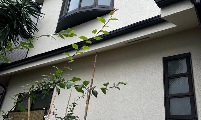 Edogawa Apartment | japan house shinkoiwa guest house