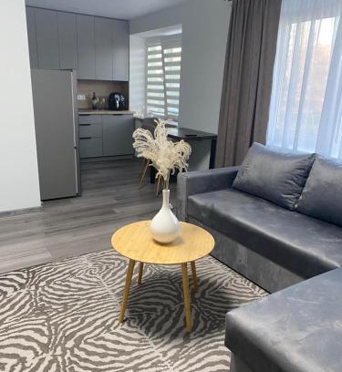 Siauliai City Center Apartment | Jaukus butas Šiaulių centre