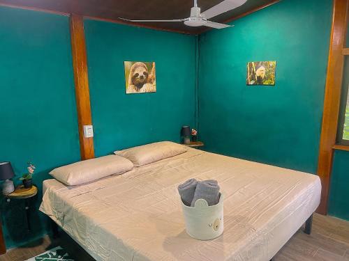 Tamarindo House | Java blue banana