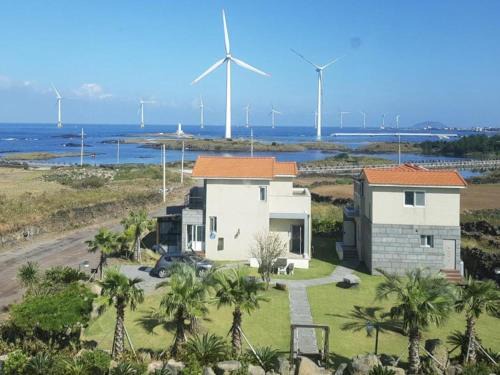 Hallim House | Jeju BasaFan Spa Pension