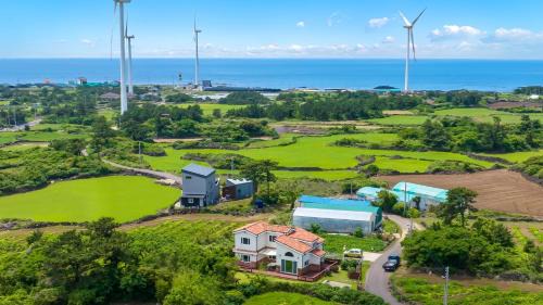 Hallim House | Jeju West dokchae pension