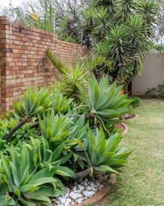 Edenvale House | Jewel of Jozi