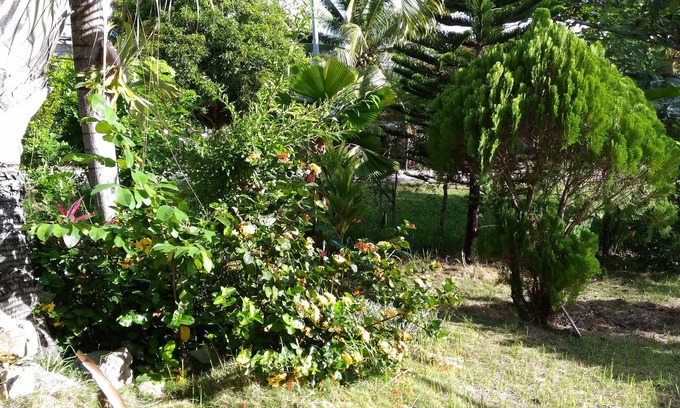 Milagros Hotel | Jomajean Garden