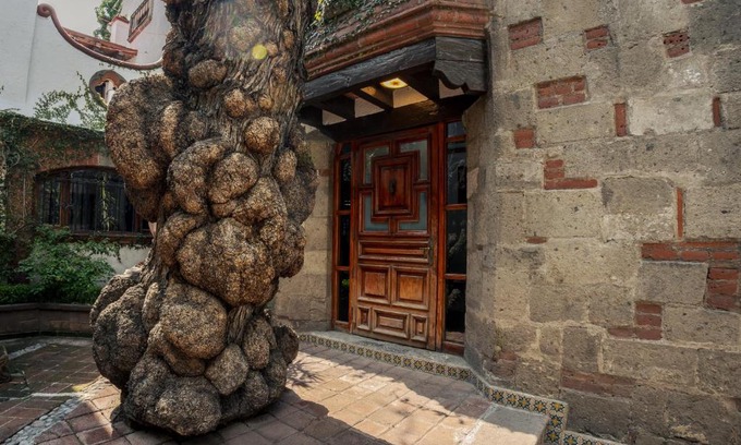 Del Carmen House | Jr Suite en el Centro de Coyoacán